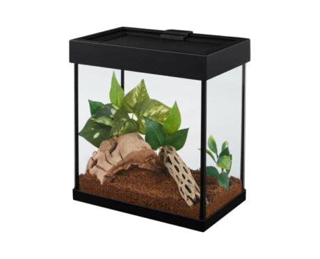 Reptile Terrariums